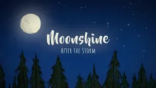 Moonshine Band - After the Storm (Official Music Video)