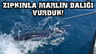 ZIPKINLA DEV MARLİN BALIĞI VURDUK! | TARİHİ GÖRÜNTÜLER!