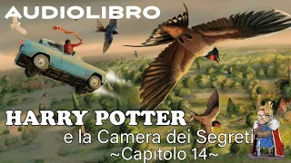 Harry Potter e la camera dei segreti - Lettura e Commento Cap 14 -Audiolibro