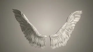 Angel Wings 3d model, rigged and animated