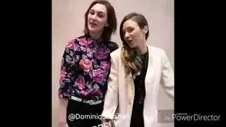 wayhaught  Domkat