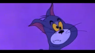 Tom and Jerry Little School Mouse + Tom and Jerry Nit Witty Kitty