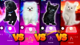 CUTE DOGS BABY SHARK VS MAROON 5 SUGAR VS CUTE CATS DANCE MONKEY VS BLACKPINK LISA MONEY & TILES HOP