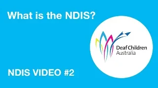 2. What is the NDIS?