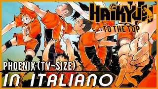 In ITALIANO "PHOENIX" - Haikyu!! To the Top - OPENING (Tv-Size) COVER