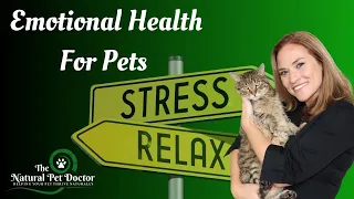 Emotional Health for Your Dogs and Cats with Dr. Katie Woodley - The Natural Pet Doctor