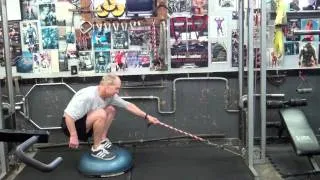 bosu squat 1 arm cable row and pushups, highlow plank thrusts