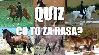 Quiz: Rasy Koni