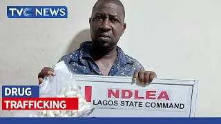 NDLEA Arrests Drug Lord With 93 Cocaine Pellets In Lagos