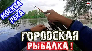 ГОРОДСКАЯ РЫБАЛКА! ЛОВЛЯ НА СПИННИНГ - Москва-река! Отводной поводок