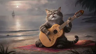 【Relaxing Flamenco Guitar】Healing Beach  #cat #relax #flamencoguitar #music