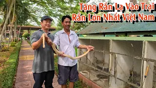 Tặng con Rắn hiếm lại cho Trại Rắn Đồng Tâm, Trại Rắn lớn nhất VIỆT NAM | TGSB #867