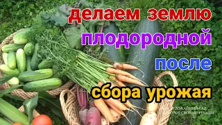 Как сделать землю плодородной после сбора урожая. Осенние работы