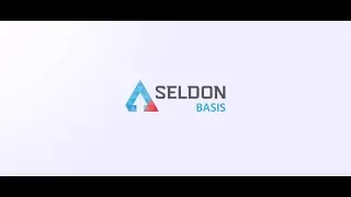 SELDON BASIS - Презентация (сервис поиска клиентов и проверки компаний)