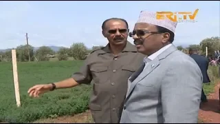 ERi-Tv, Eritrea: Somalia President Mohammed Abdullahi Tours Development Sites