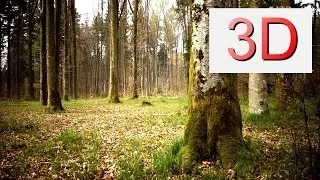 Ultra HD 3D Film: MARCH FOREST WALK (4K Resolution)