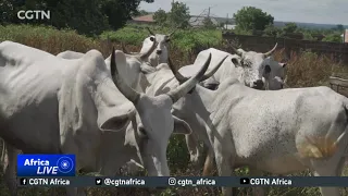 Deadly farmer-herder conflicts in Nigeria