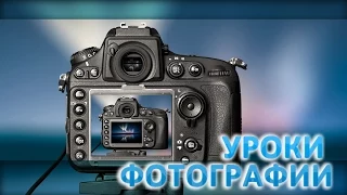 Программа для обработки фотографий ACDSee Знакомство