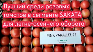 Лучший среди розовых томатов для летне-осеннего оборота в сегменте Sakata с идеальным вкусом.