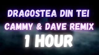 O-Zone - Dragostea Din Tei (Cammy x Dave Remix) | 1 HOUR