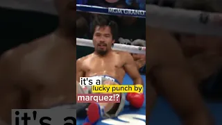 it's a lucky punch by marquez!? #shorts#boxing#shortsvideo