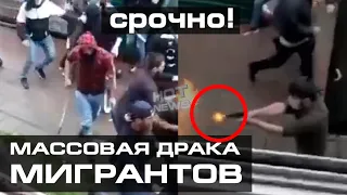 Массовая драка мигрантов со стрельбой, вчера в Мытищах