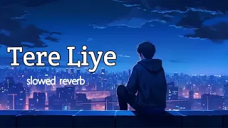 Tere Liye - Slowed & Reverb | Prince | Atif Aslam, Shreya Ghoshal | Hindi Lofi Mix Songs