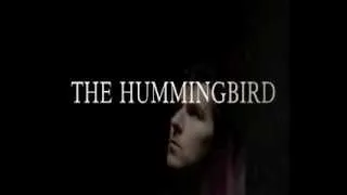 The Hummingbird Trailer