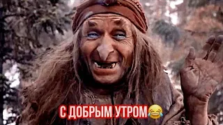 Мне сегодня весело с самого утра…😂 С добрым утром и отличного настроения👍