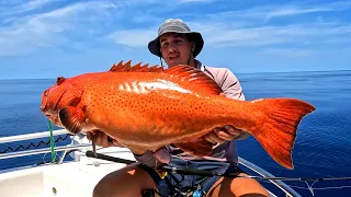 JIGGING for DINO CORAL TROUT Townsville feat. Satori Fishing