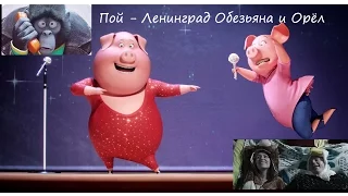 Пой - Ленинград Обезьяна и Орёл