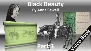 Part 3 - Black Beauty Audiobook by Anna Sewell (Chs 37-49)