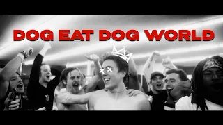 DOG EAT DOG WORLD - LEVI BORREGO SAMPLER 2022