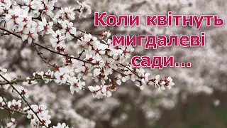 Агроном з Ізмаїльщини вже п'ять років вирощує сертифікований мигдаль українських сортів