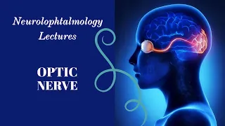 NEUROOPHTHALMOLOGY lecture 8 OPTIC NEUROPATHY clear explanation