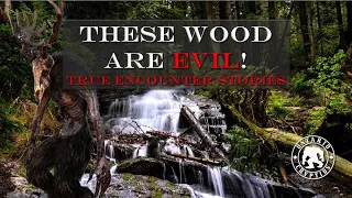 These Woods Are Evil!  True Encounter Stories   [EP-182]