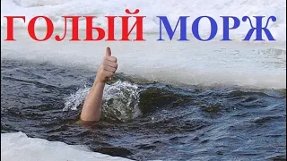 ГОЛЫЙ МОРЖ 2021 / ЗИМНЕЕ КУПАНИЕ ГОЛЫШОМ / ЗАКАЛИВАНИЕ ХОЛОДНОЙ  ВОДОЙ / МОРЖЕВАНИЕ