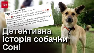 🐕 ЗНАЙШЛАСЬ за 150 км через ПІВ РОКУ! Загадкова історія собаки Соні, якою тепер займається поліція