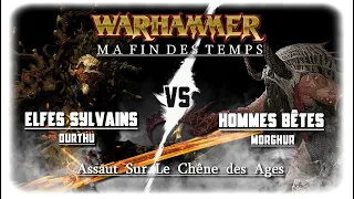 Rapport de Bataille Warhammer #233 La Fin des Temps Assaut sur le Chêne des Âges