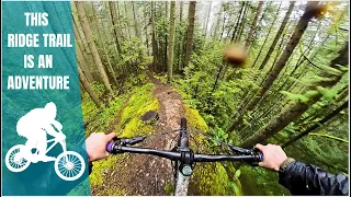 This trail has some EXPOSURE // Cougar Ridge MTB Bellingham