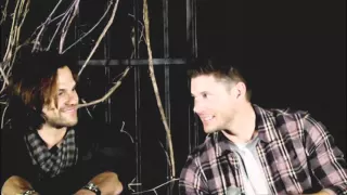 Jared/Jensen [J2] Amazed