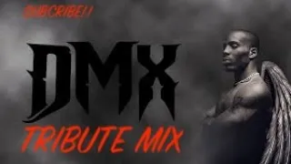 DMX TRIBUTE MIX