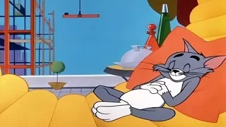 Tom And Jerry Full Episodes 22