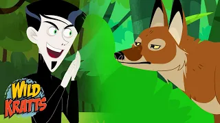 Zach Vs Coyotes | Wild Kratts