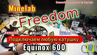 Minelab Freedom: any coils on Equinox