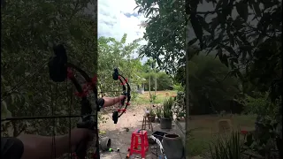 Cung bắn cả bi tên - bắn thử đầu mũi huýt sáo sẽ như thế nào #compoundbow