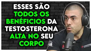 É POR ESSE MOTIVO QUE VOCÊ DEVERIA SUBIR SUA TESTOSTERONA | Leandro Twin Ironberg