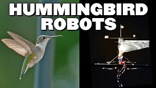 This Hummingbird Robot was Designed to take Incredible Photos | Monarch Butterflies | AI in Tech