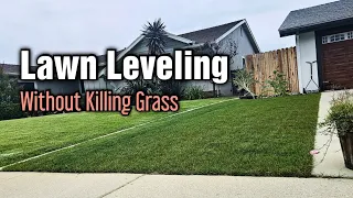 How I Leveled My Lawn Without Killing The Grass