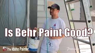 Behr Paint Review.  Should you buy this paint?